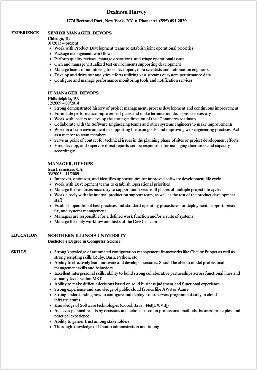 Big Data Project Manager Resume Sample