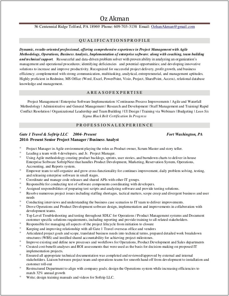 Business Analyst And Project Manager Resume