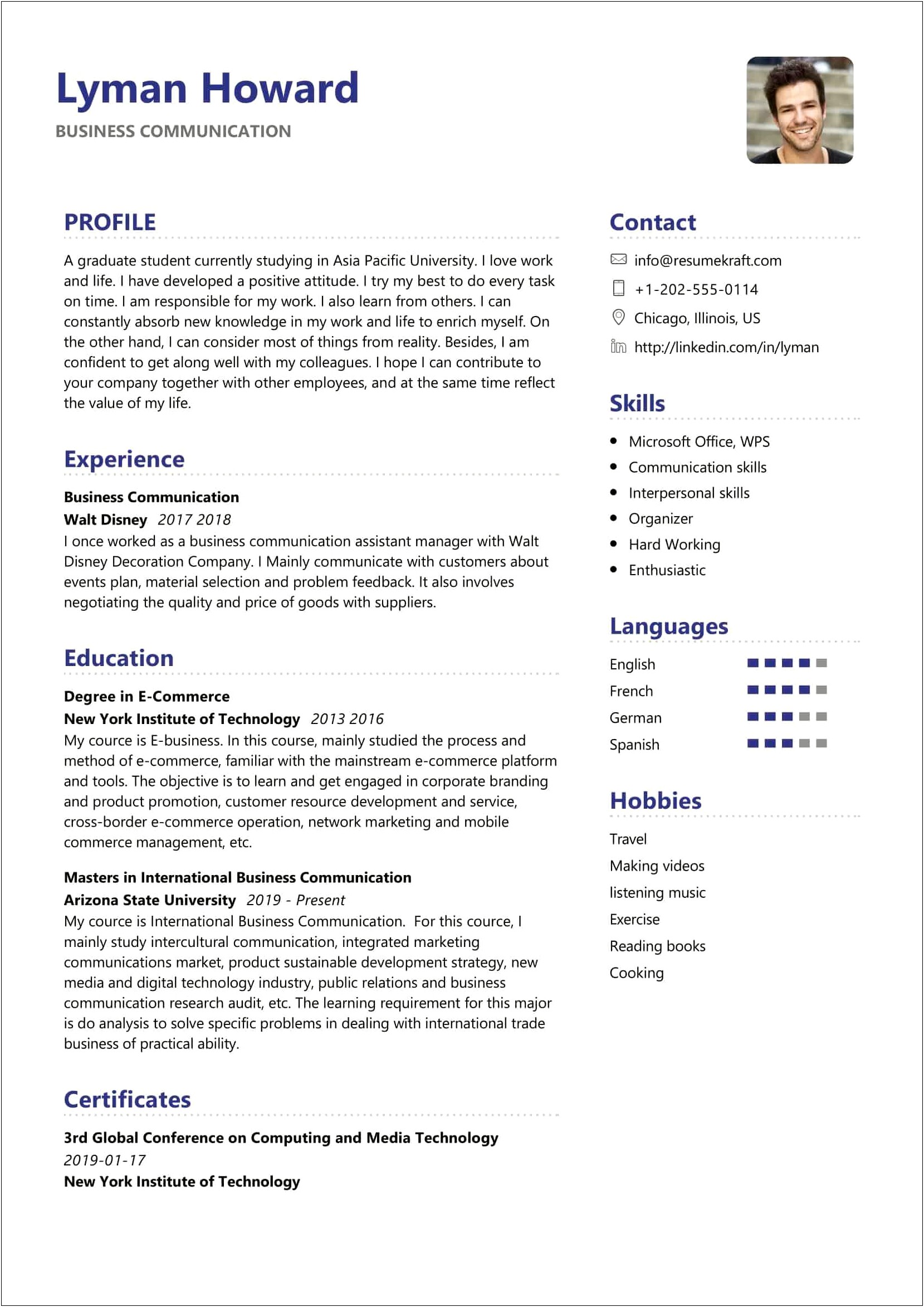Business Analyst In Pri Resume Sample Download