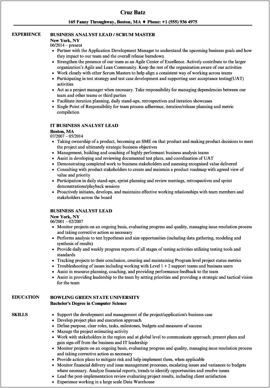 Business Analyst Resume With Balsamiq Experience
