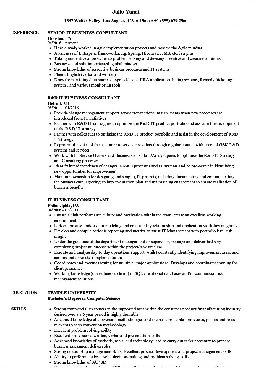 Business Developer Consultant Job Description For Resume
