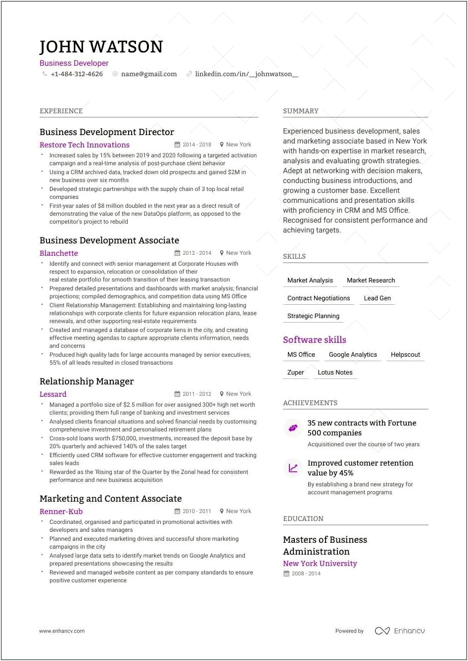 Business Development Manager Functional Resume Examples