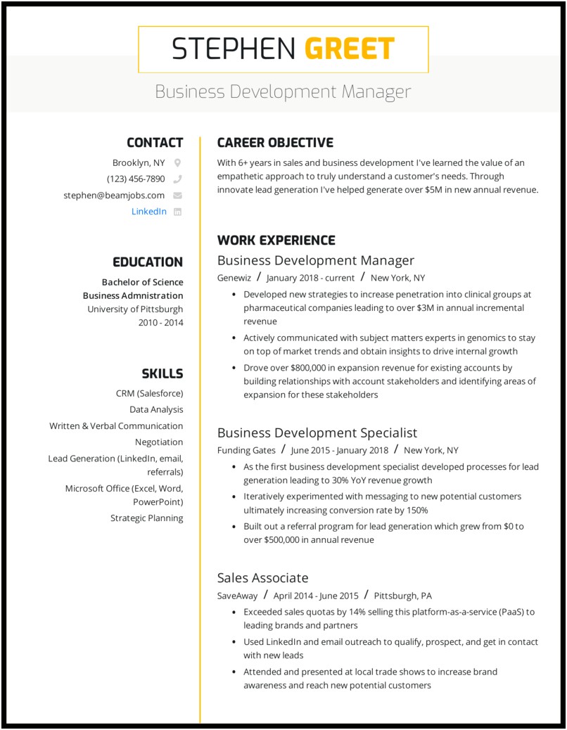 Business Development Manager Job Description For Resume
