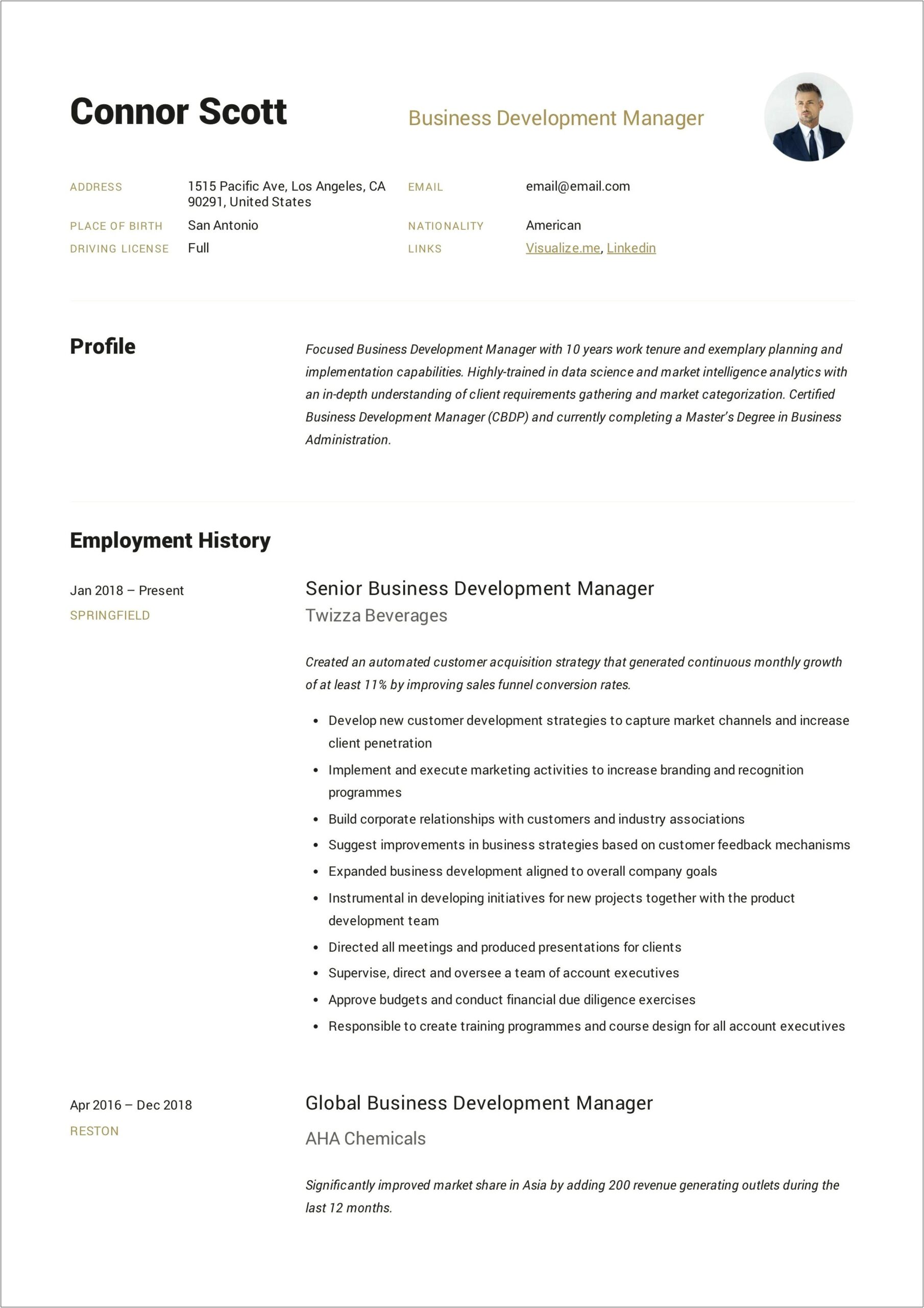 Business Development Manager Resume Description