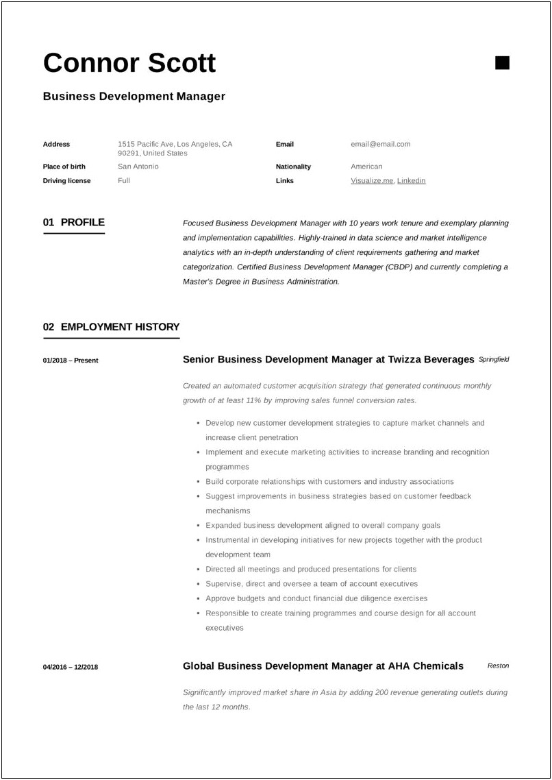 Business Development Manager Resume India