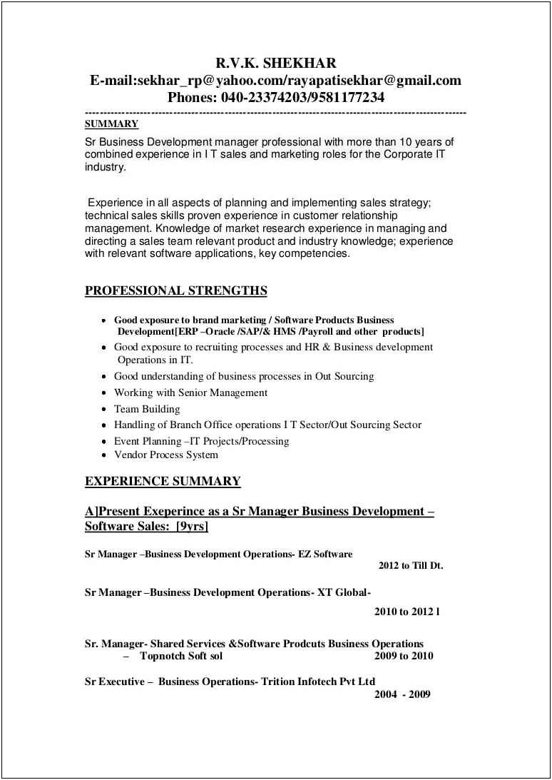 Business Development Resume Summary Samples