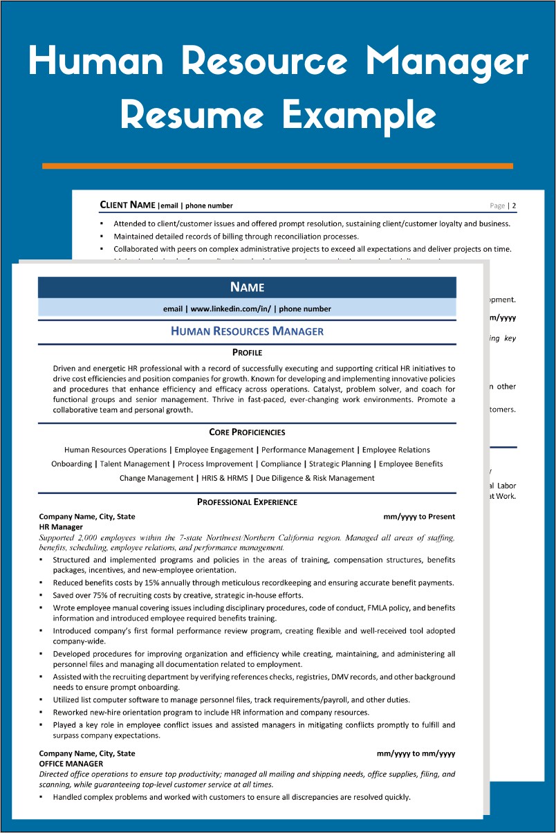 Business Management Professional Resume Examples