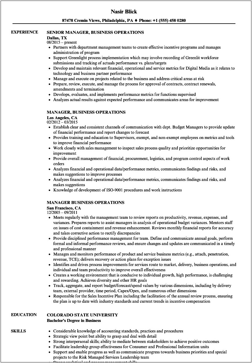 Business Operations Resume Summary Examples
