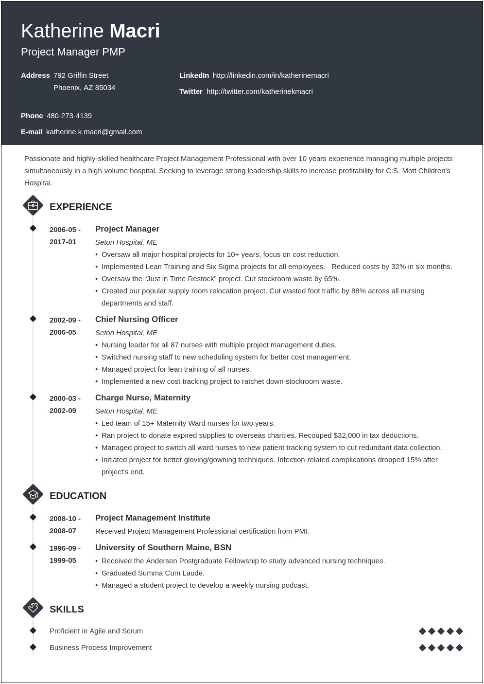 Business Project Manager Resume Examples