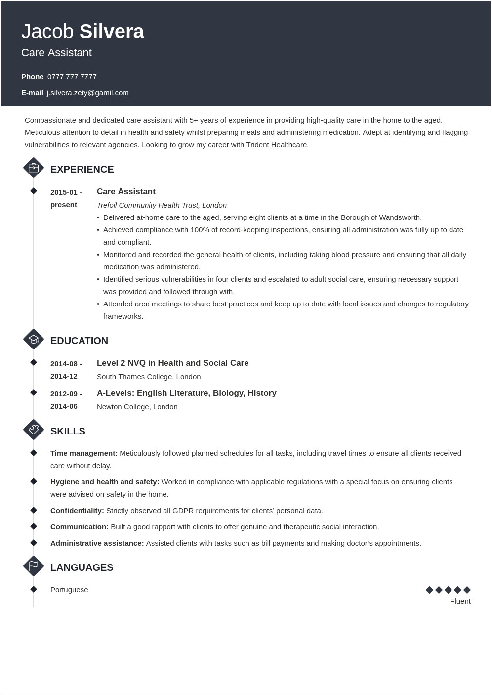 Care Assistant Job Description For Resume