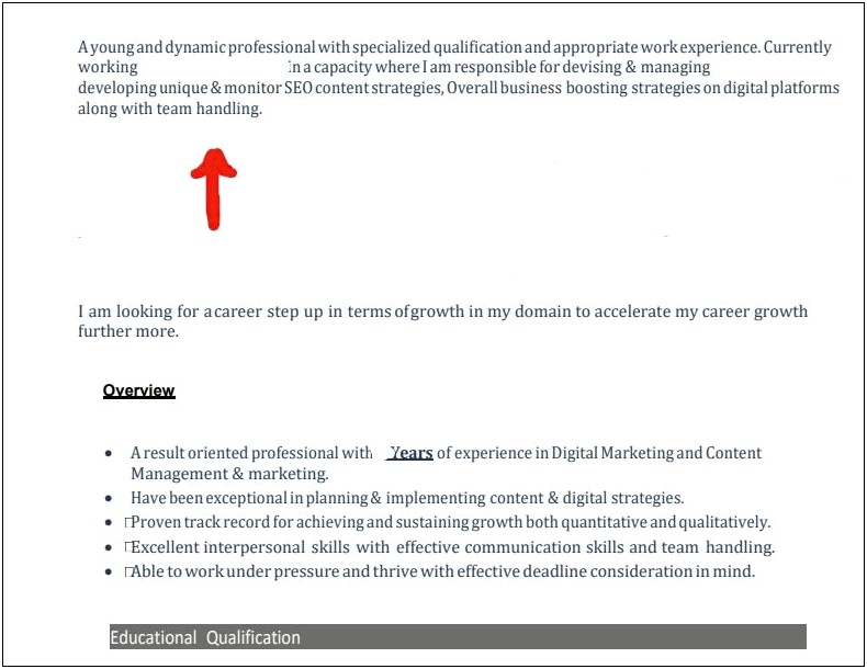 Career Objective Examples For Resume Marketing