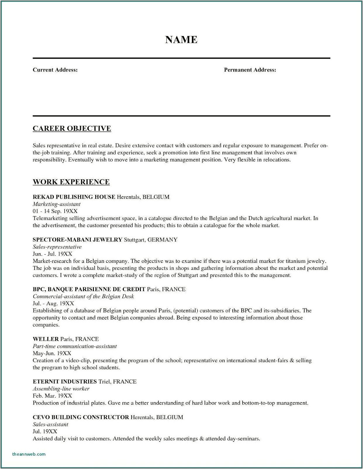 Career Objective For Sales Executive Resume