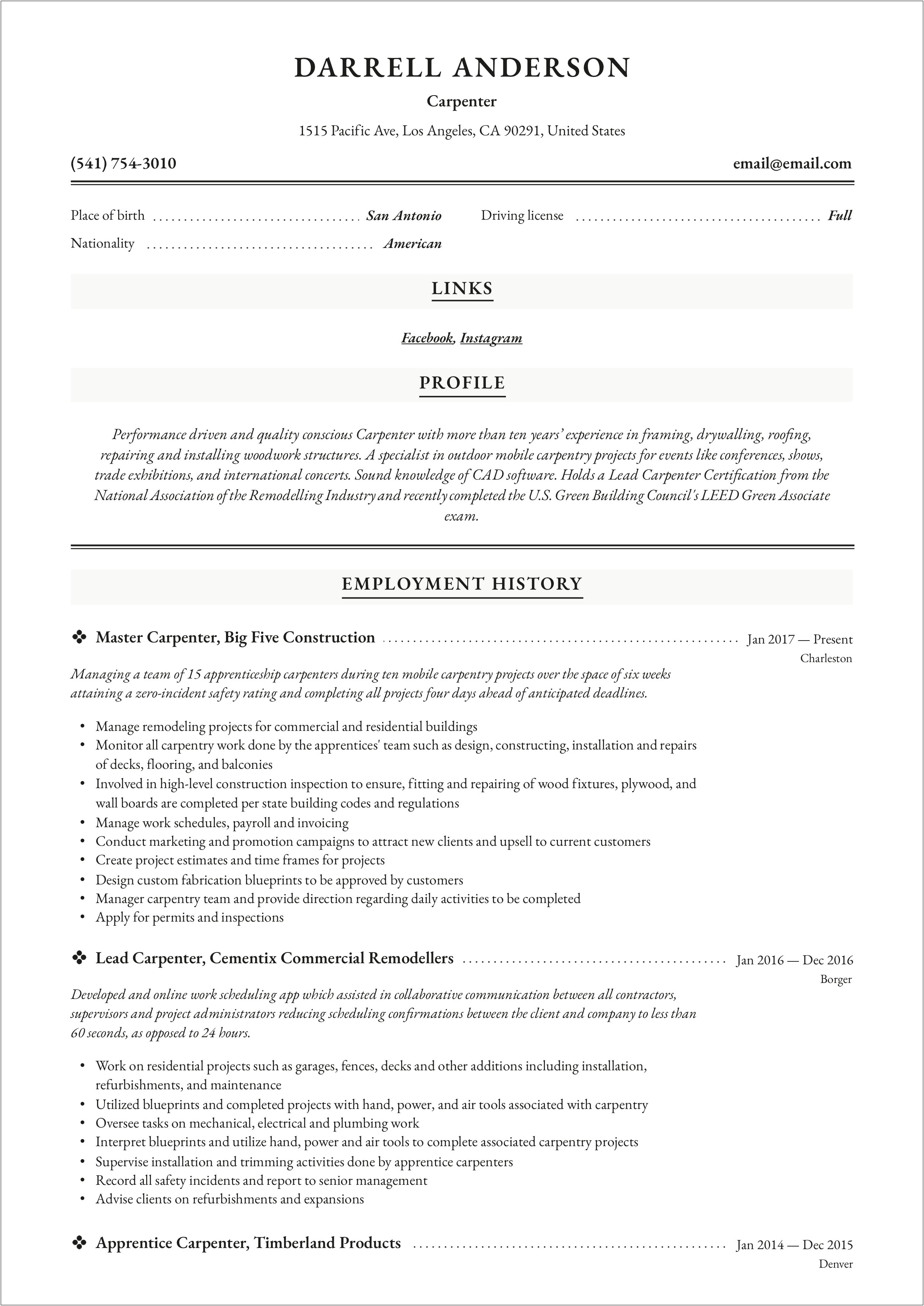 Carpenters Resume Examples And Samples