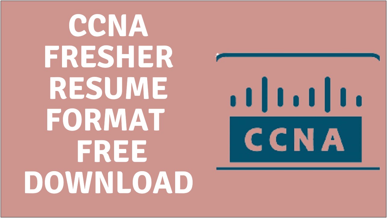 Ccna Fresher Resume Format Free Download