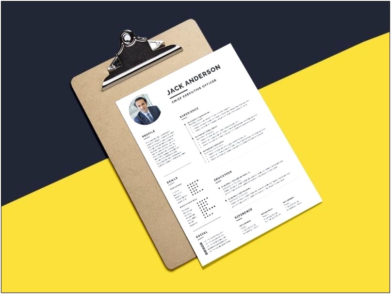 Ceo Resume Sample Free Download