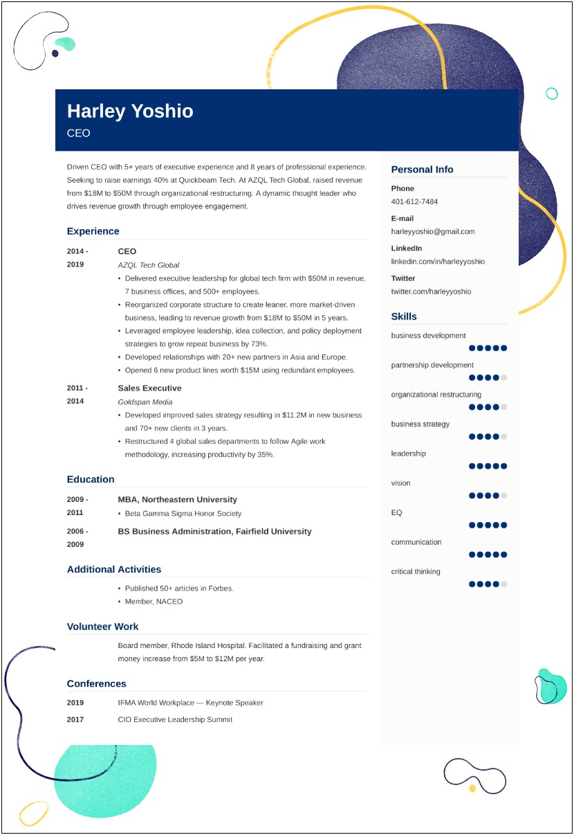 Ceo Skills And Competencies Resume