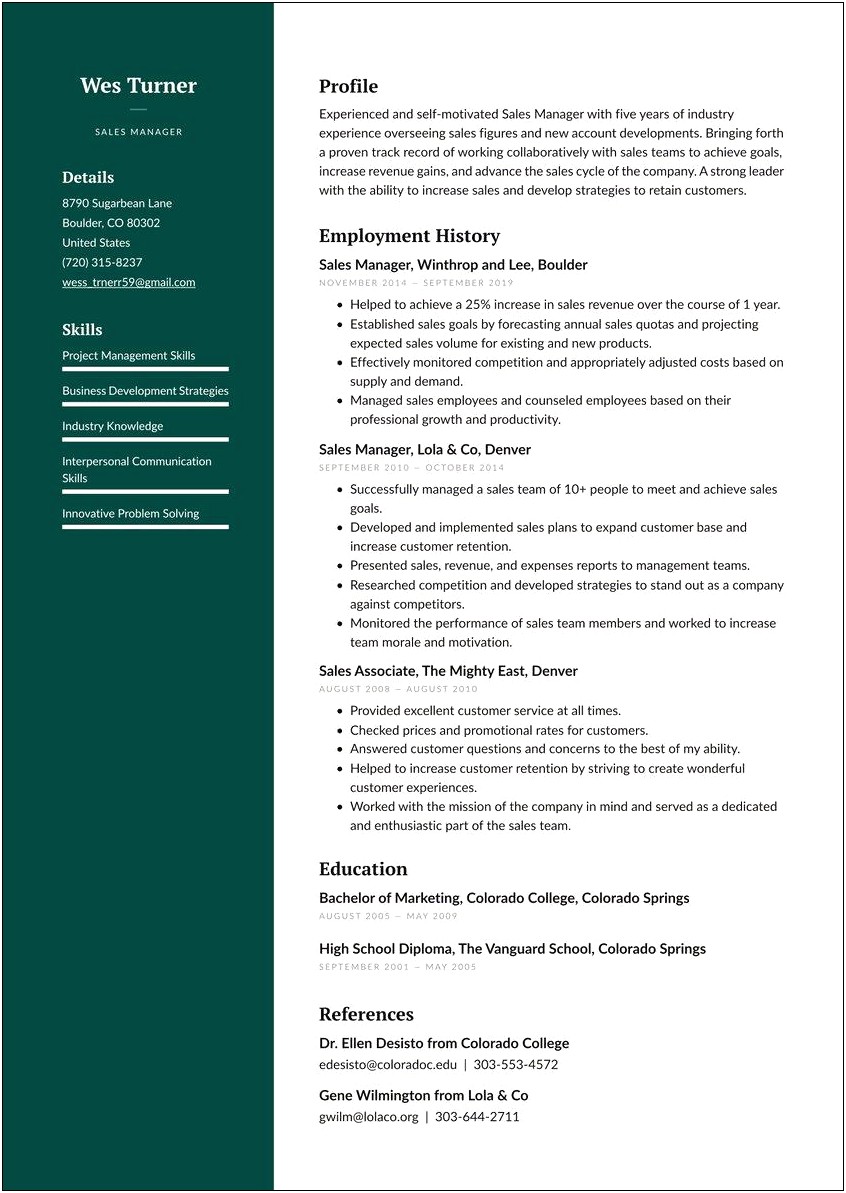 Channel Sales Manager Resume Template