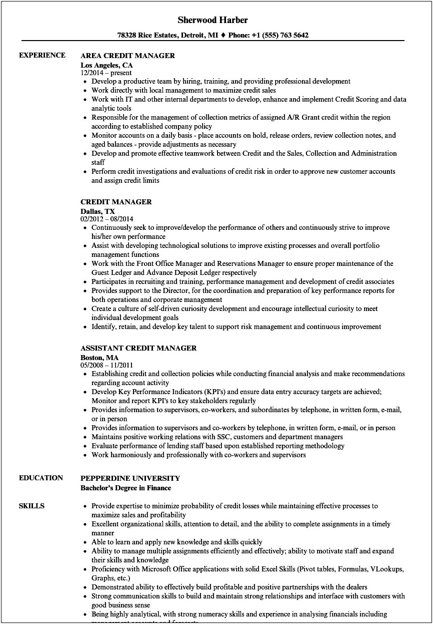 Chief Credit Officer Resume Samples