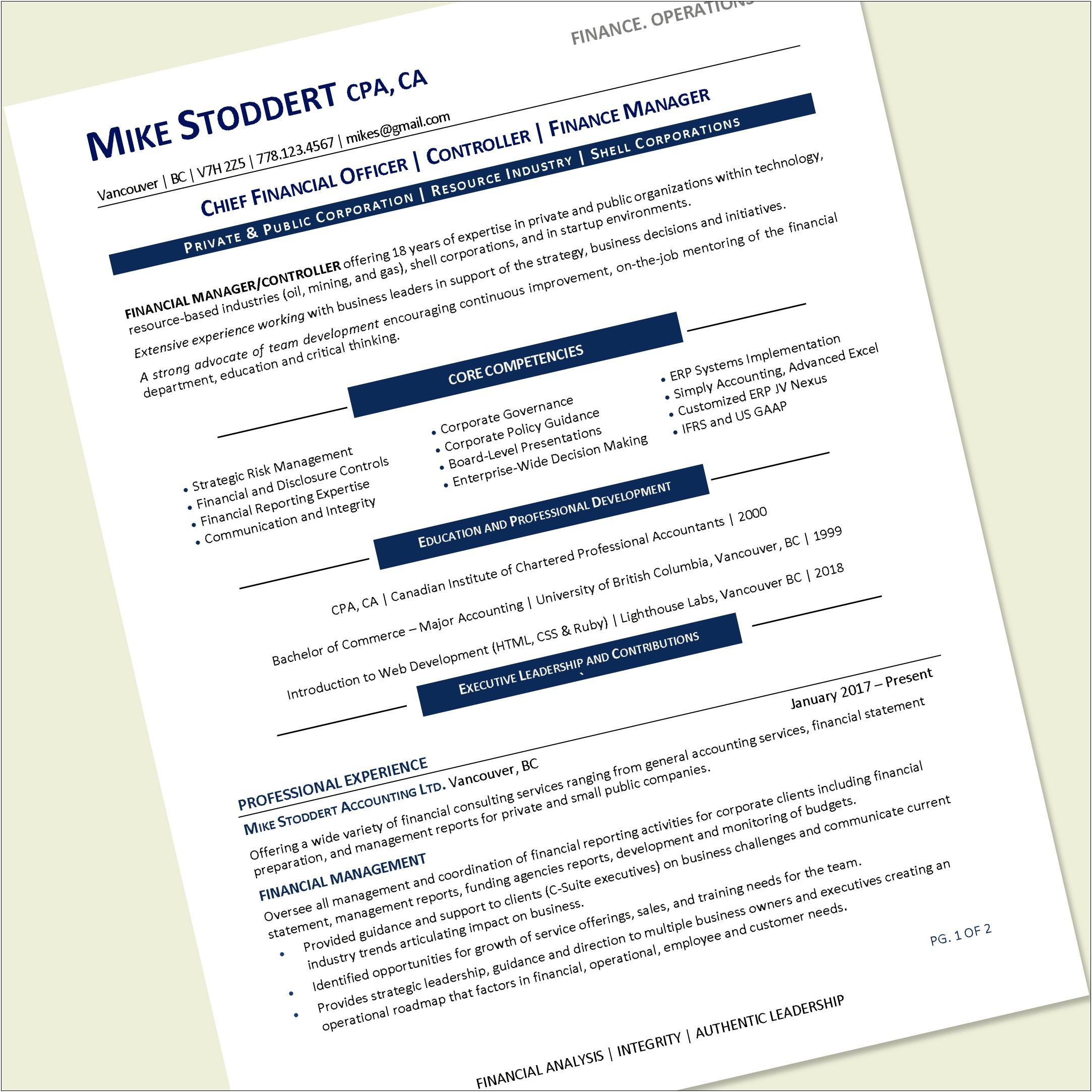 Chief Financial Officer Resume Examples
