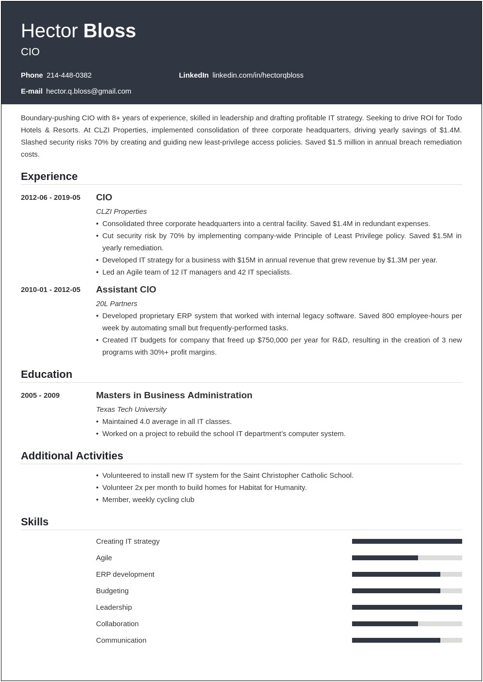 Chief Information Officer Sample Resume
