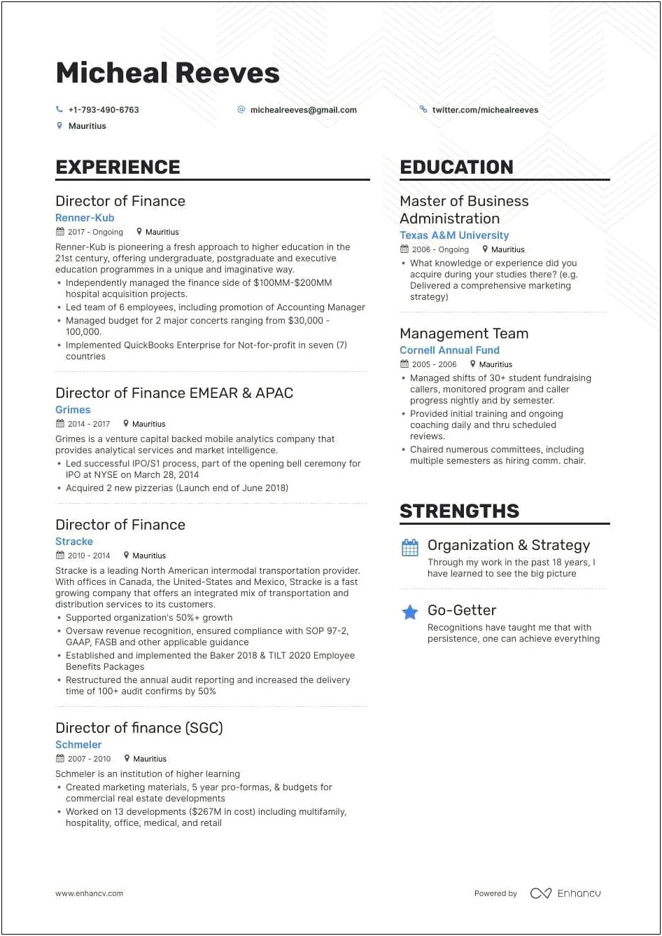 Chief Revenue Officer Resume Examples
