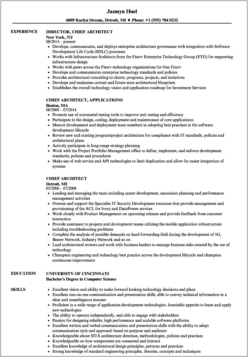 Chief Software Architect Resume Example