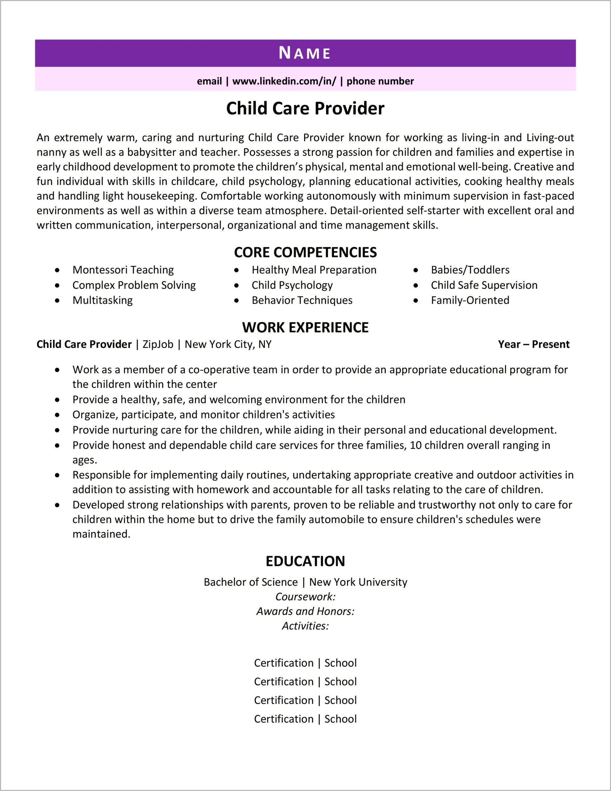 Child Care Provider Description Resume Example