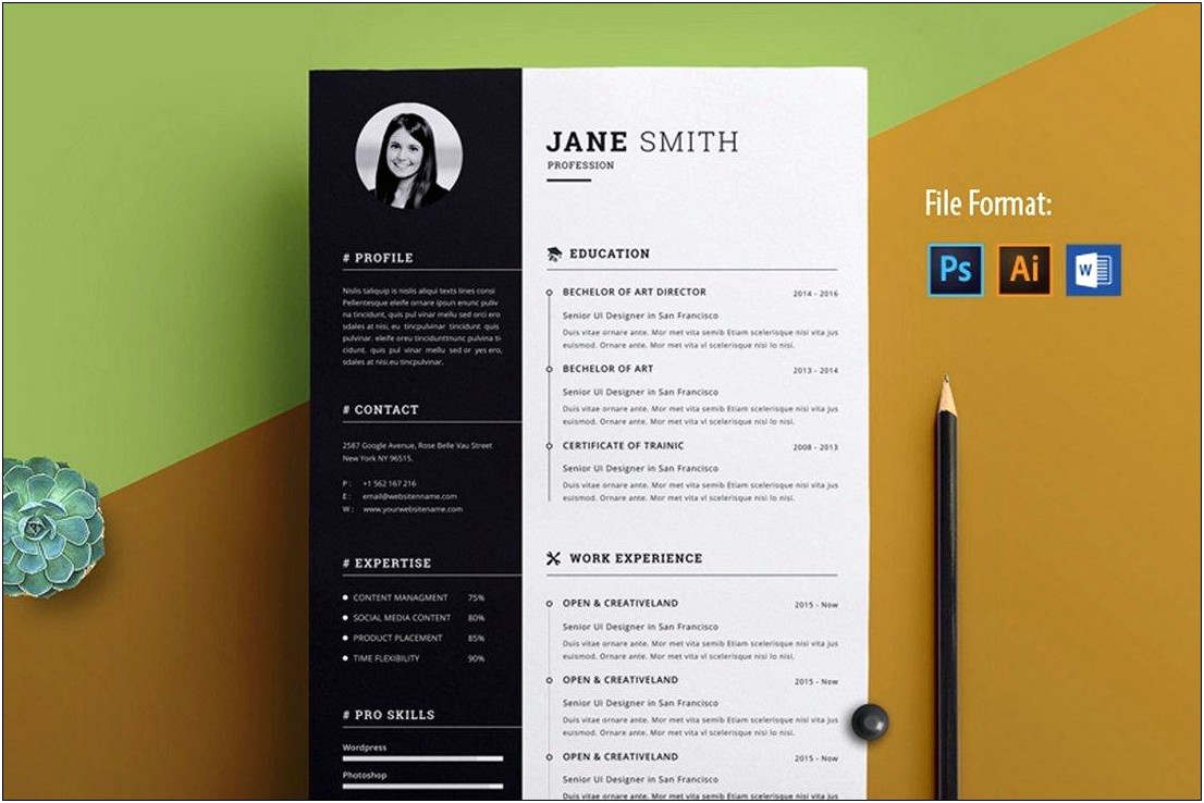 Clean Professional Resume Word Templates Free