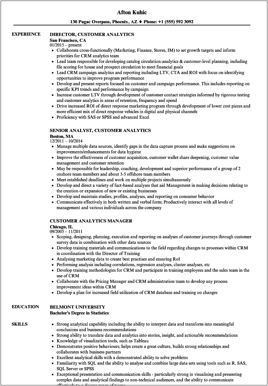 Client Director Analytical Skill Resume