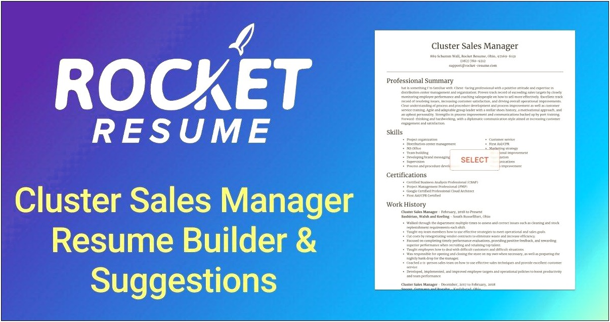 Cluster Sales Manager Resume Format