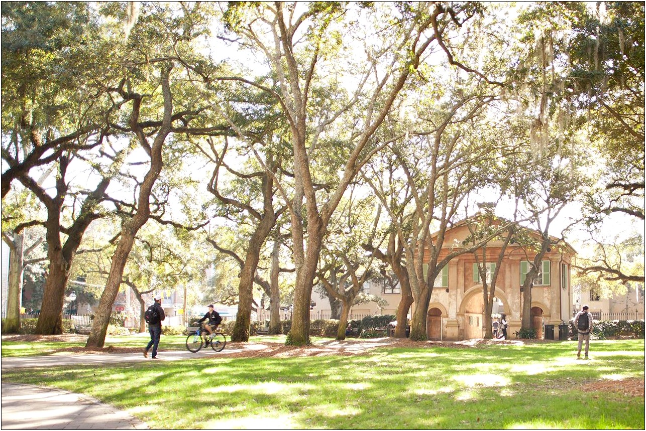College Of Charleston Honors Resume Example
