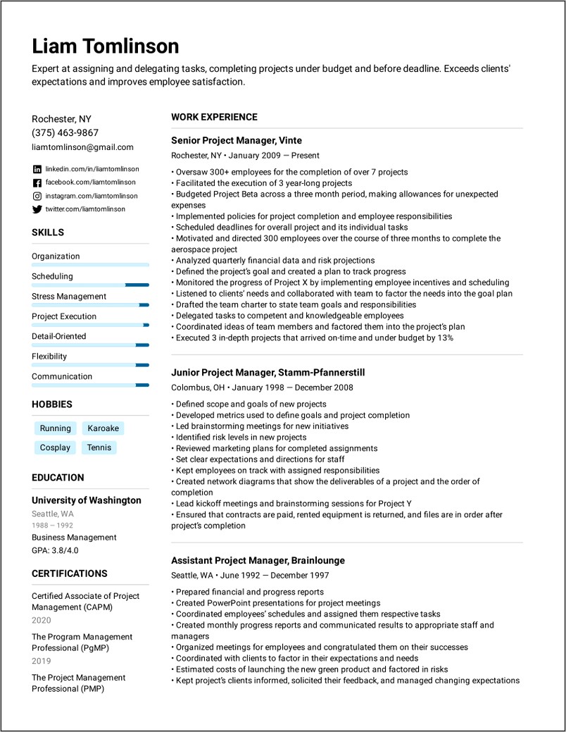 Combination Chronological Functional Resume Samples