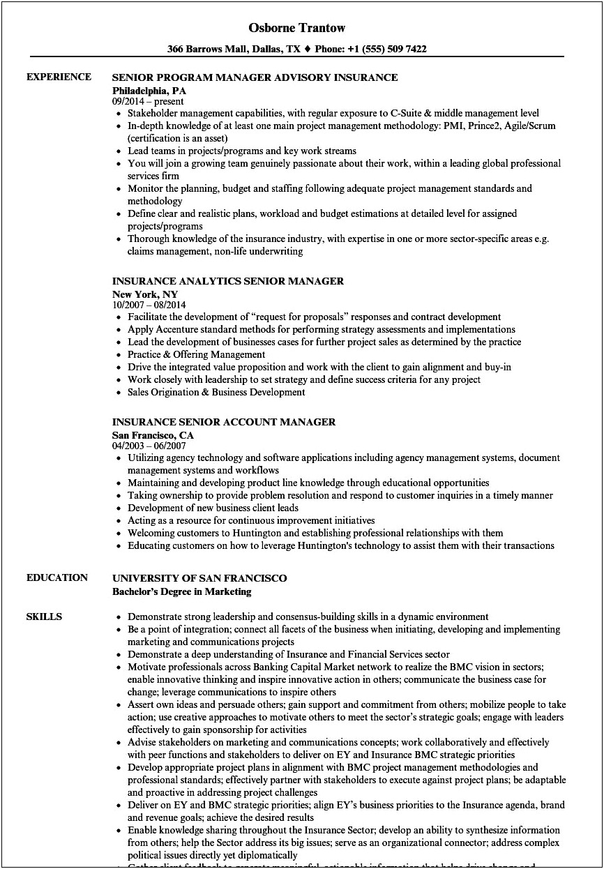 Commercial Insurance Account Manager Resume Summary