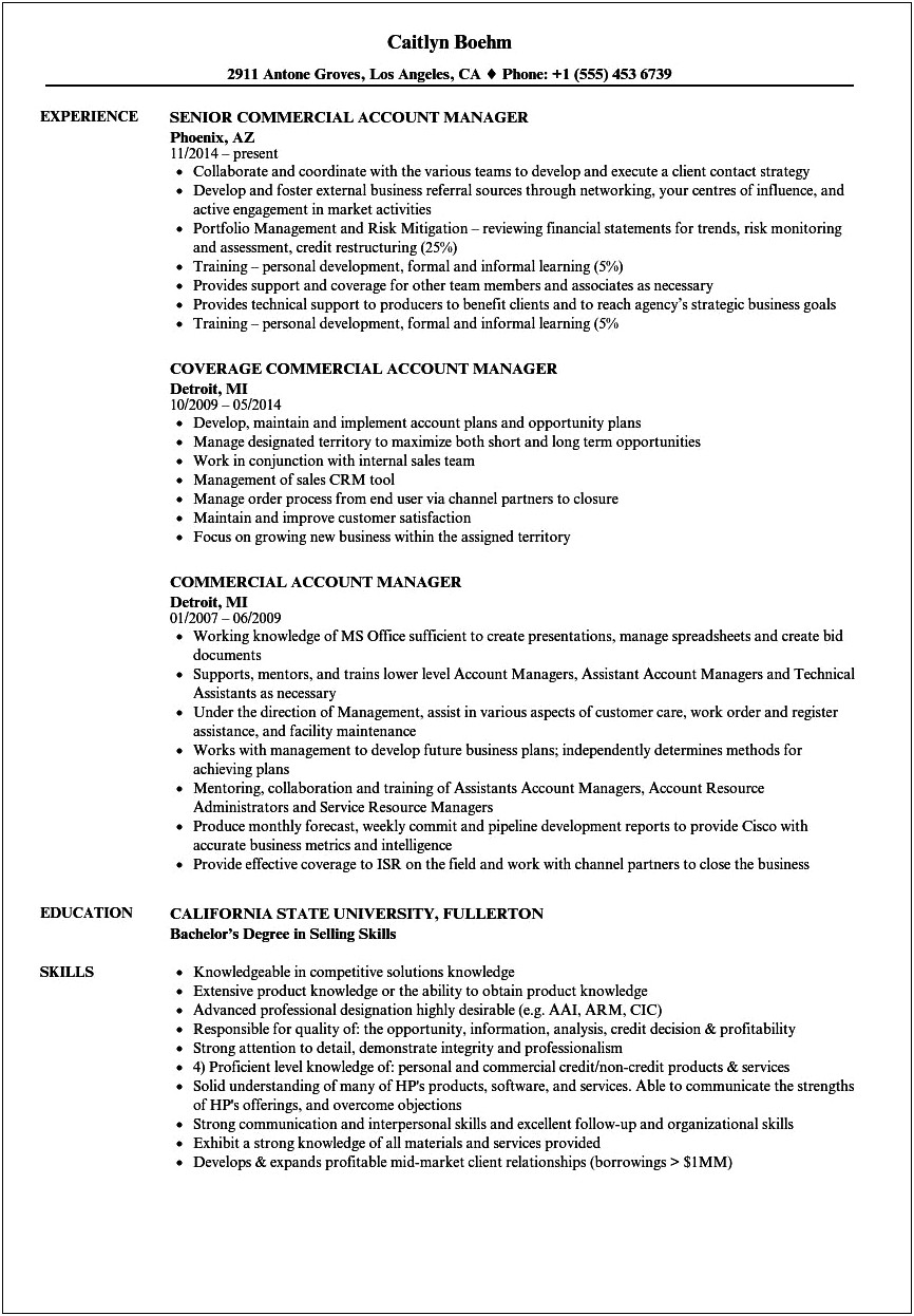 Commercial Insurance Account Manager Resume
