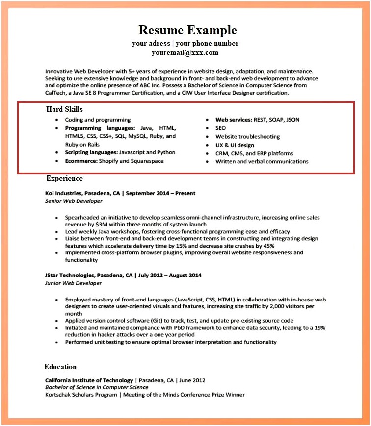 Computer Skills In A Resume Example