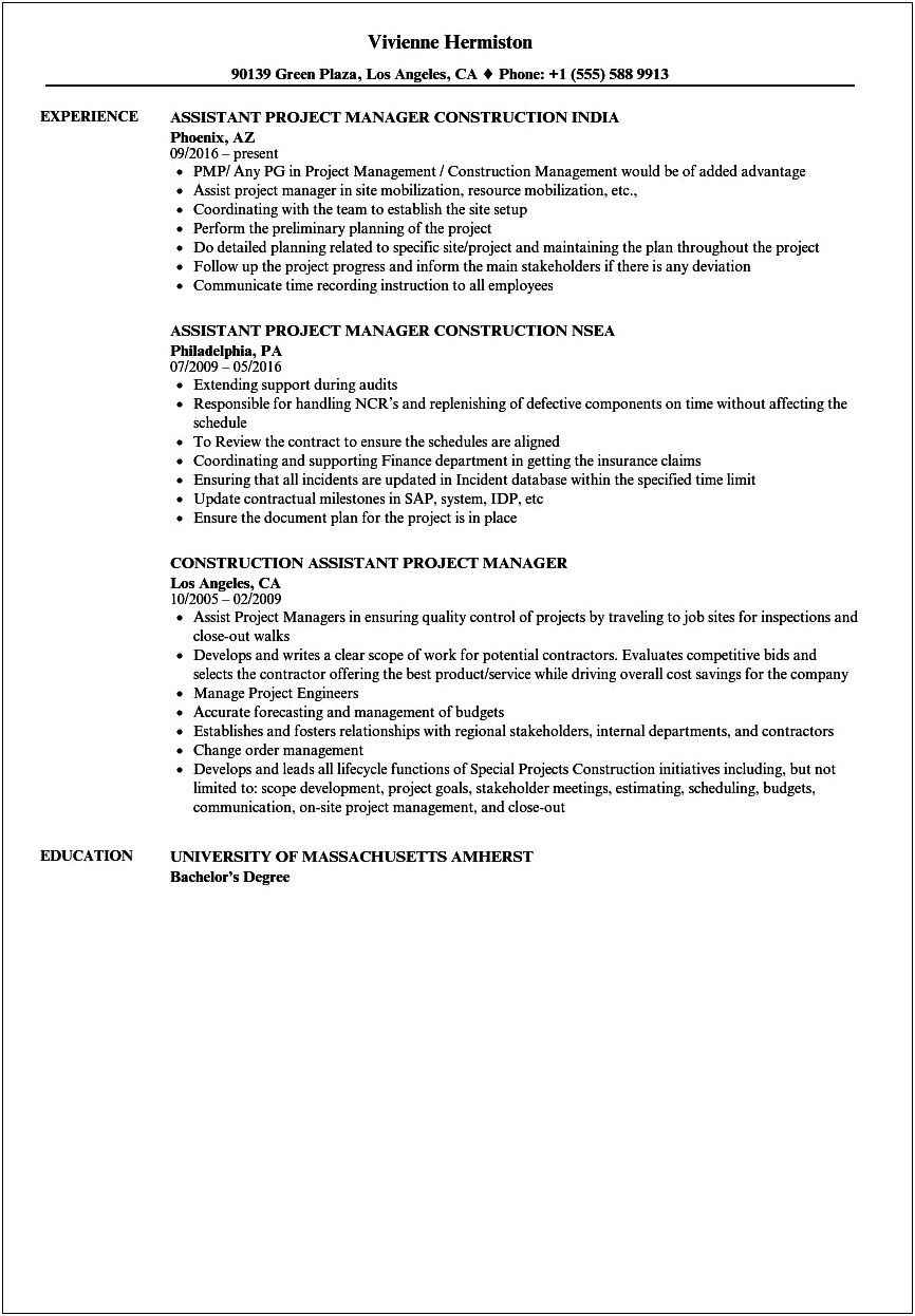 Construction Project Assistant Resume Examples