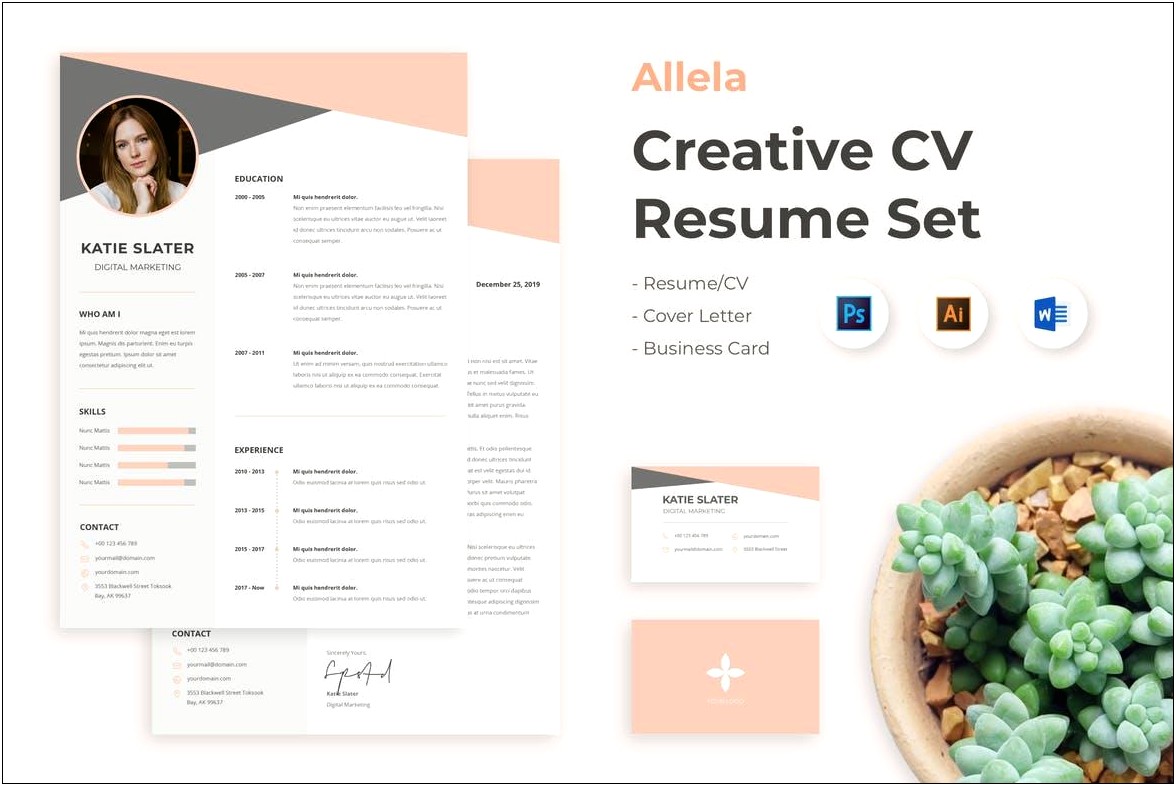 Creative Resume Templates Word Download Free