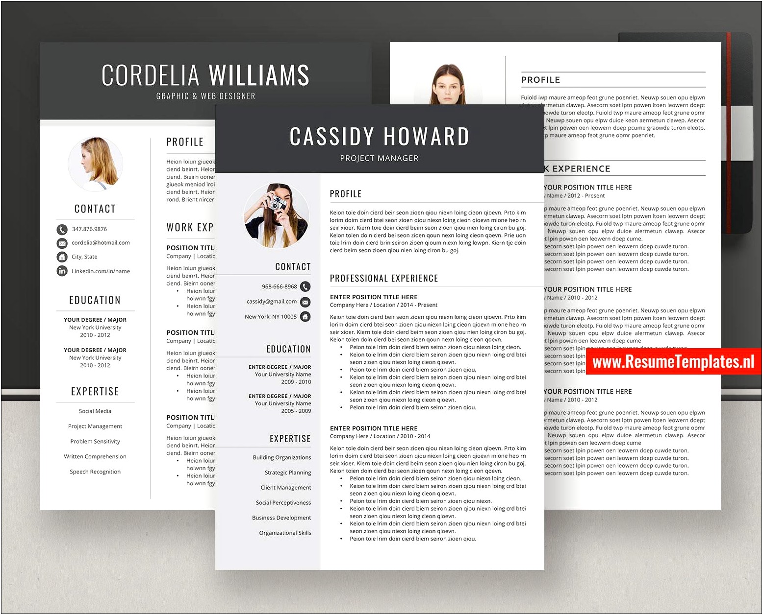 Creative Resumes For Corporate Job