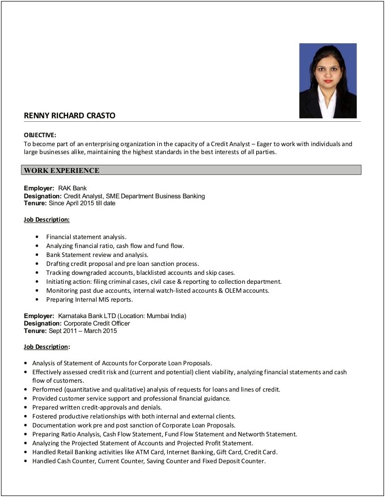 Credit Officer Job Description Resume