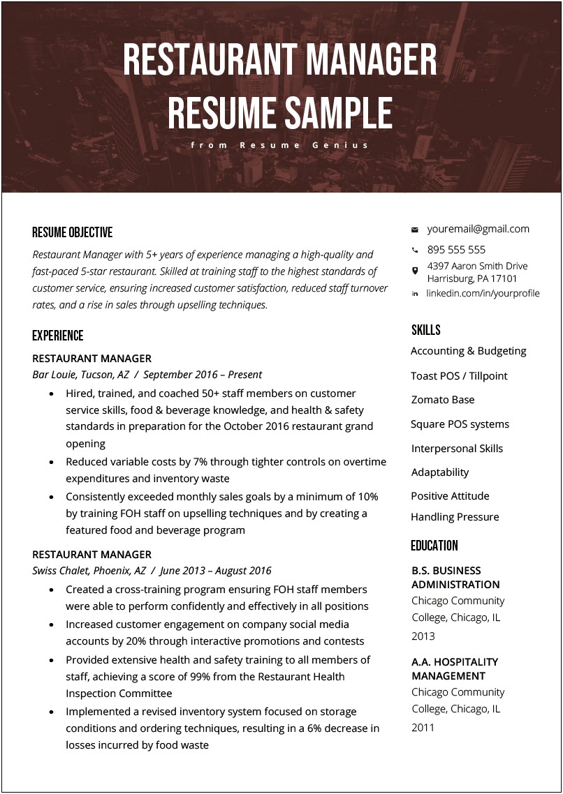 Customer Service Lead Resume Examples