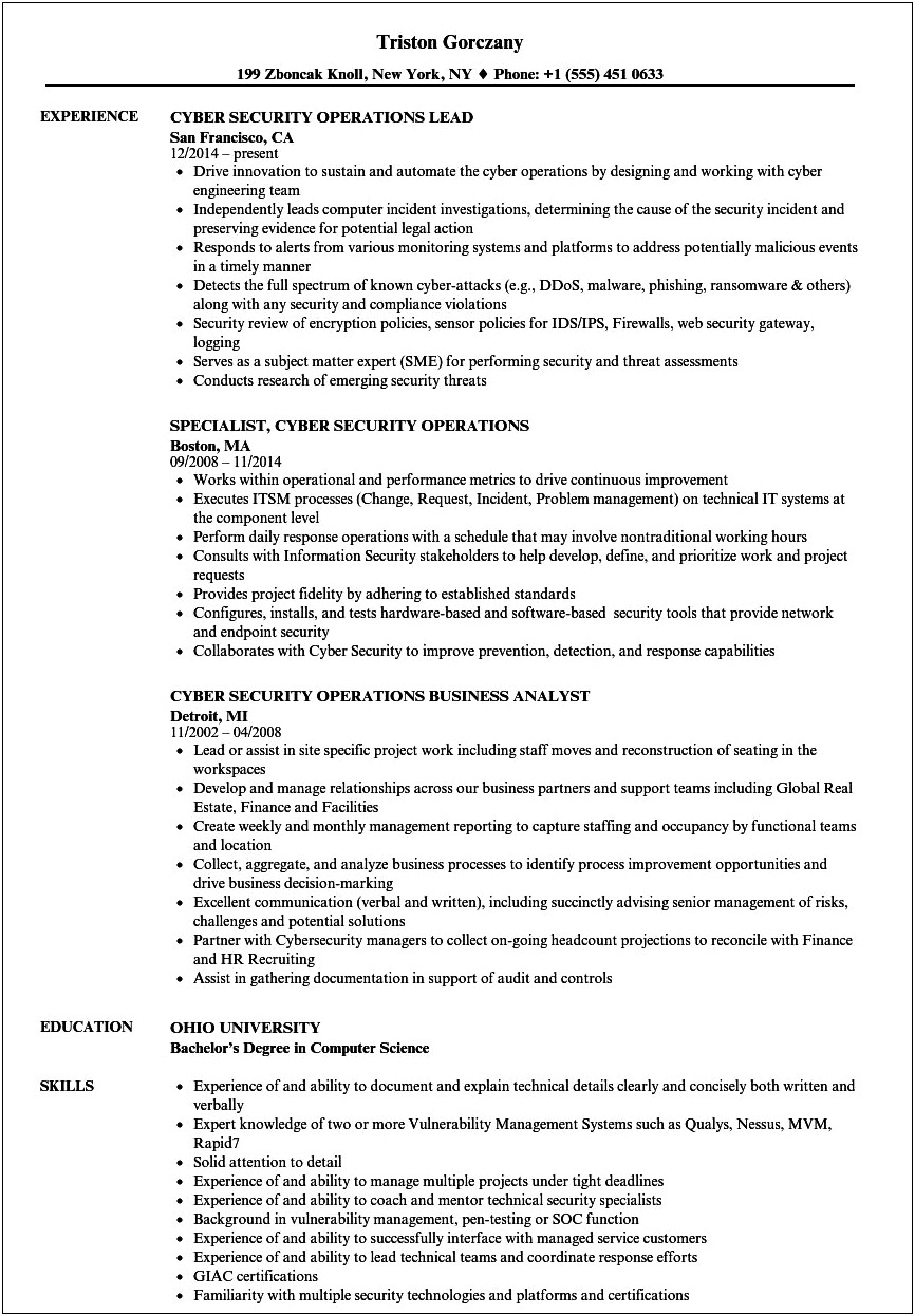 Cyber Security Intern Resume Example