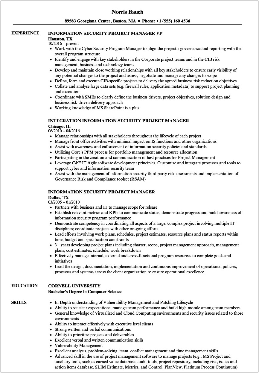 Cyber Security Manager Resume Examples