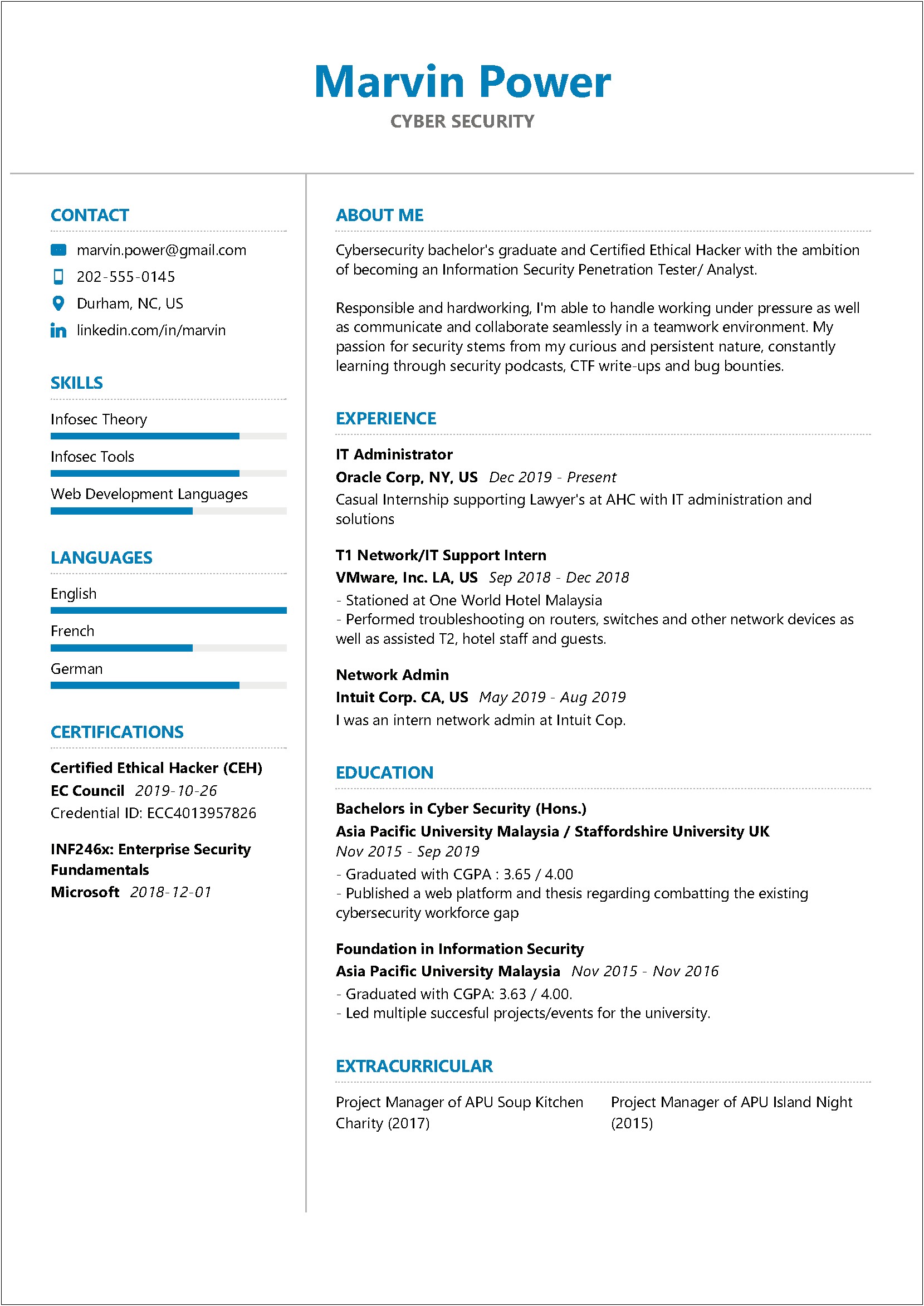 Cyber Security Manager Resume Summary