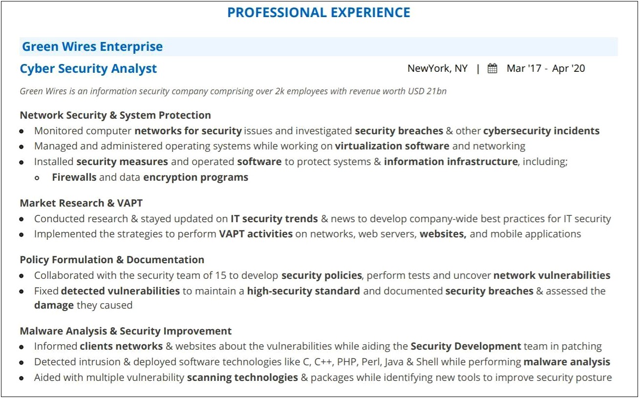 Cyber Security Resume Template No Experience