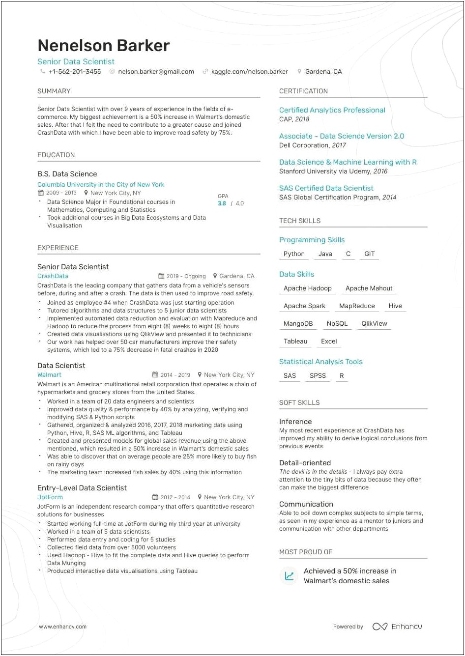 Data Mapping Sample Resume Projects