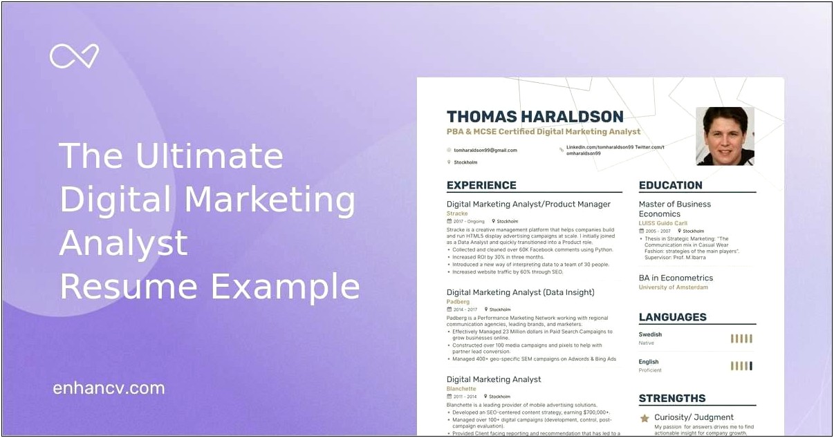 Database Marketing Analyst Resume Sample