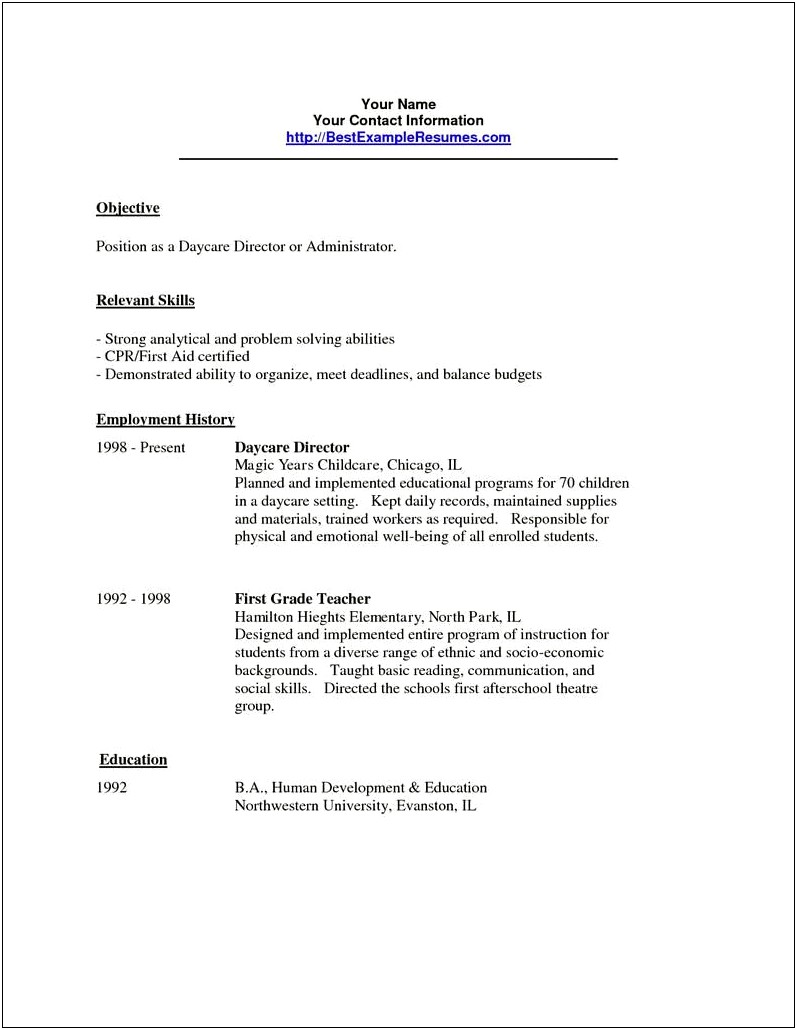 Day Care Director Resume Examples