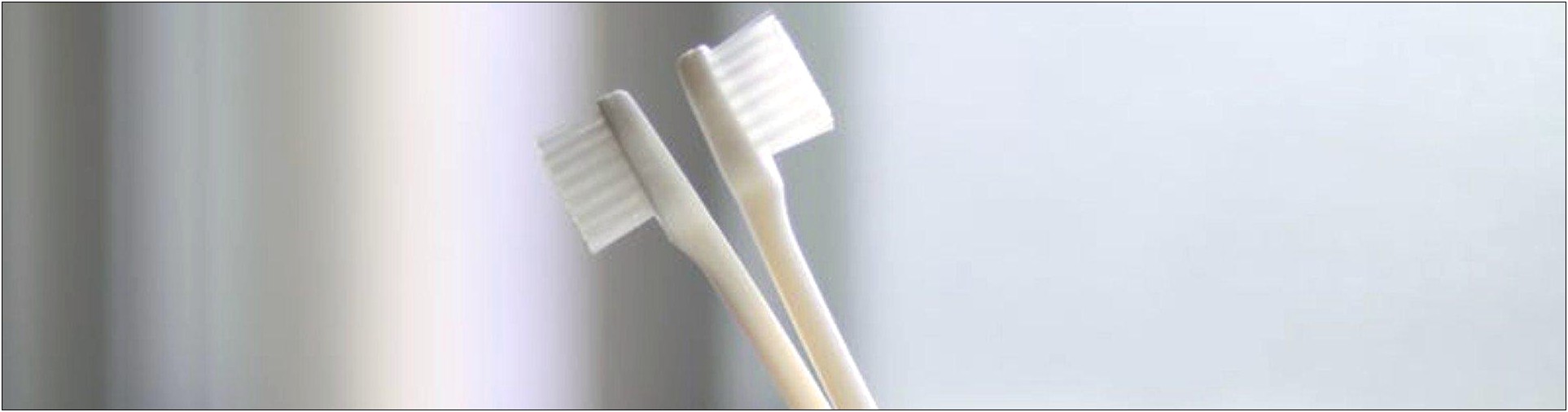 Dental Hygiene Resume Free Template