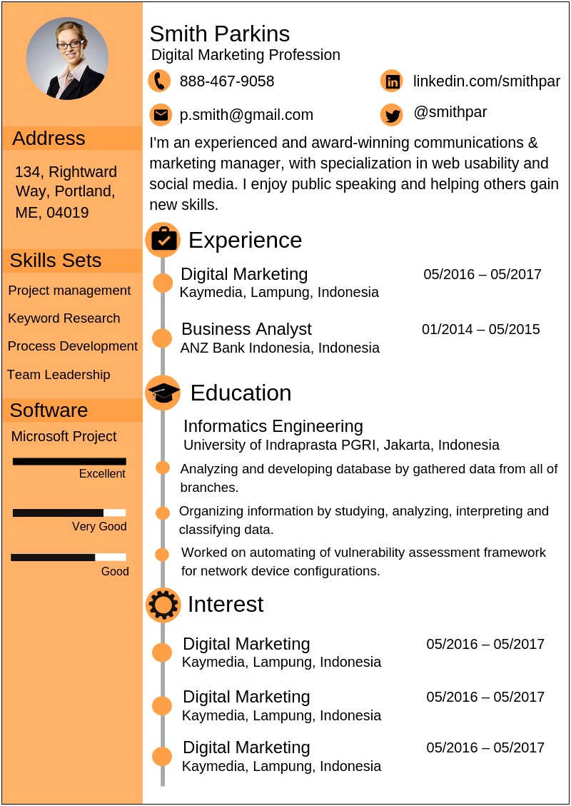 Digital Marketing Resume Sample Pdf