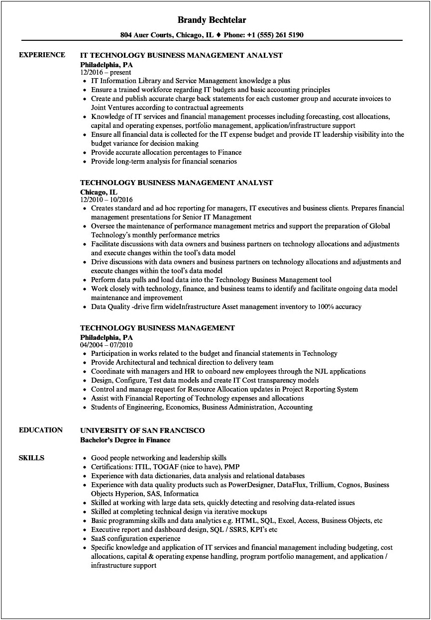 Director Of Business And Technology Resume Sample